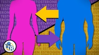 Hormones and Gender Transition [upl. by Link417]