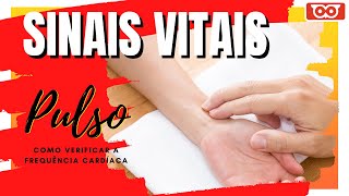 SINAIS VITAIS  QUAIS AS PRINCIPAIS ARTÃ‰RIAS E COMO VERIFICAR O PULSO [upl. by Chaney407]