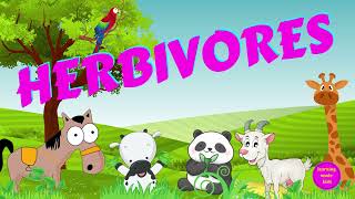 Herbivores  Types of Animals  Science for Kids [upl. by Jerol]