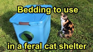 Bedding to use in a feral cat shelter [upl. by Brown]