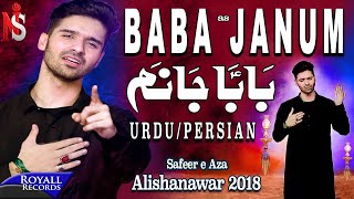 Ali Shanawar Baba Janum UrduPersian  2018  1440 [upl. by Eneles]