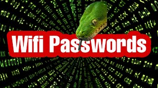 Get WiFi Passwords With Python  python project for beginners [upl. by Ynohtnaed380]