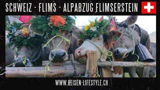 Alpabzug Flimserstein Flims  Schweiz  reisenlifestylech [upl. by Nnylaf]