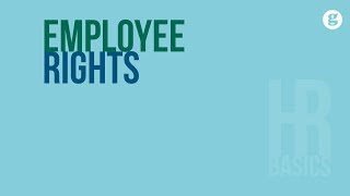 HR Basics Employee Rights [upl. by Murat147]