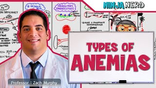 Hematology  Types of Anemias [upl. by Aretahs]