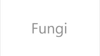 How to Pronounce Fungi [upl. by Slen431]