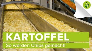 So werden Chips gemacht [upl. by Dusza]