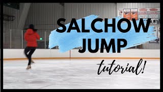 Salchow Jump  Figure Skating Lessons [upl. by Nnayar]