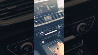 Resetting AUDI MMI on a 2018 Q5Q7 [upl. by Eentroc734]