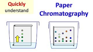 Paper Chromatography [upl. by Yreneh]