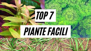 TOP 7 PIANTE FACILI IN ACQUARIO [upl. by Julianne496]