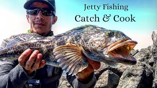 Rock Fishing On A Jetty Lingcod Catch amp Cook [upl. by Rehportsirhc331]