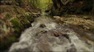 Relaxing Rain amp Soothing River Sounds Near a Beautiful Waterfall in the Rocky Mountains  10 Hours [upl. by Ula615]