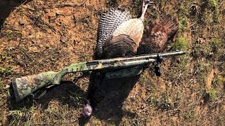 Mossberg model 835 grand slam turkey shotgun review new turkey gun [upl. by Onder733]