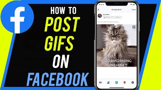 How to Post GIFs on Facebook [upl. by Pelson]