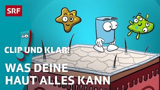 Was kann deine Haut  SRF Kids – Clip und klar  Für Kinder erklärt [upl. by Ynove]