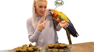 EASY Birdie Bread Recipes For ALL Parrots [upl. by Ralf]