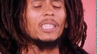 Bob Marley  Positive Vibration Live at TopPop TV Netherlands 1976 [upl. by Hurst]