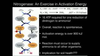 The Nitrogen Cycle and Nitrogenase [upl. by Odraude]