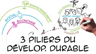 Les 3 piliers du développement durable regard scientifique [upl. by Ongun]