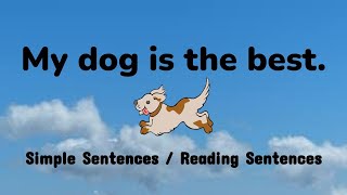 Simple Sentences  Reading Sentences  Kindergarten amp Grade 1 [upl. by Aerdied93]