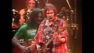 Neil Young amp Crazy Horse  Cinnamon Girl  live 1991  in real HD [upl. by Euqinahc]