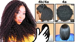 Natural Hair Types EXPLAINED In Detail w PICTURES 4C 4B amp 4A HAIR CHART [upl. by Ettezzil]