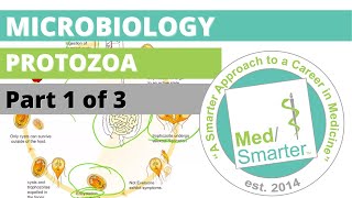 Protozoa  Microbiology  USMLE STEP 1  Part 1 of 3 [upl. by Leber758]