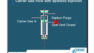 Gas ChromatographyMass Spectrometry GCMS Principles amp Techniques [upl. by Wakeen]