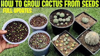 Grow Cactus From Seed100 SUCCESS RATE [upl. by Ahsaekal]