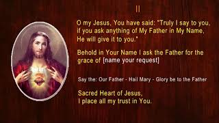 Novena To The Sacred Heart Of Jesus POWERFUL amp MIRACULOUS FULLY GUIDED NOVENA [upl. by Dafna68]