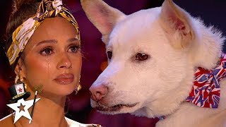 Judges Cry Over Emotional Dog Magic Act on Britains Got Talent 2020  Magicians Got Talent [upl. by Avuha]