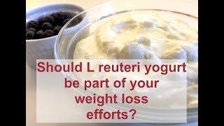 Should L reuteri yogurt be part of your weight loss efforts [upl. by Paik]