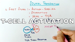 Tumour immunology and immunotherapy [upl. by Leeke]