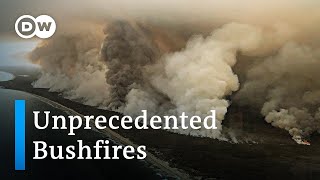 Australia bushfires  a national catastrophe  DW News [upl. by Halona]