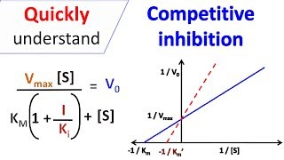 Competitive inhibition [upl. by Eladroc611]