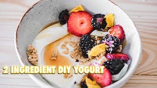 How To Make Your Own Yogurt With 2 Ingredients [upl. by Schwerin]