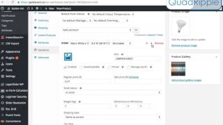 WooCommerce How to edit prices and stock quantity for products on Wordpress [upl. by Hanavas]