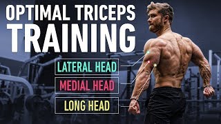 How To Build Huge Triceps with Optimal Training Technique [upl. by Oinotnaesoj]