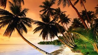 Beautiful Tropical Music amp Caribbean Music amp Hawaiian Music  Island Paradise 🌴 [upl. by Eniaj]