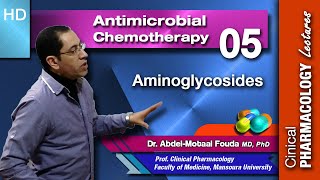 Antimicrobial Chemotherapy Ar Lecture 05 Aminoglycosides [upl. by Scurlock118]