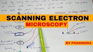 Scanning electron microscopy  SEM  Principle  mechanism [upl. by Ariem]