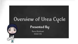 Overview of Urea Cycle [upl. by Letniuq]