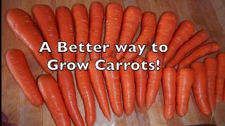 How to Sow Carrot Seeds [upl. by Carlene]