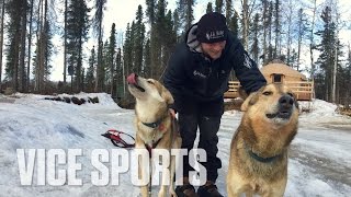 Meet IditarodWinning Sled Dogs [upl. by Donahue]