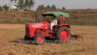 Tractor ploughs Indian agricultural field  mechanized agriculture in India [upl. by Allis]