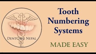 Tooth Numbering Systems Made Easy  Dentistry [upl. by Eisteb]