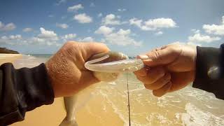 Surf Fishing with Soft Plastics [upl. by Odessa]