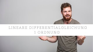 Lineare Differentialgleichung DGL 1 Ordnung  Einfach erklärt [upl. by Lobiv]