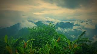 Nature Of Uttrakhand [upl. by Sitelc]